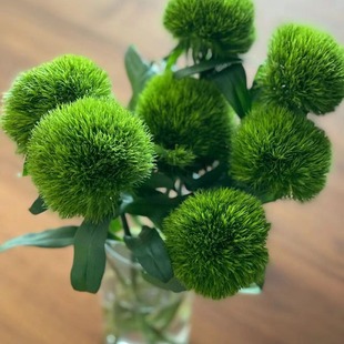 Green Fur Ball Flowers Wholesale Yunnan Kunming Flowers Wholesale Street Stall Flowers Group Purchase Red Roses Valentine's Day Festival