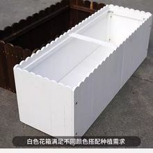 ����ľ�����ش��L���λ����̨�N����̼����ľ�řڷNֲ����⻨��