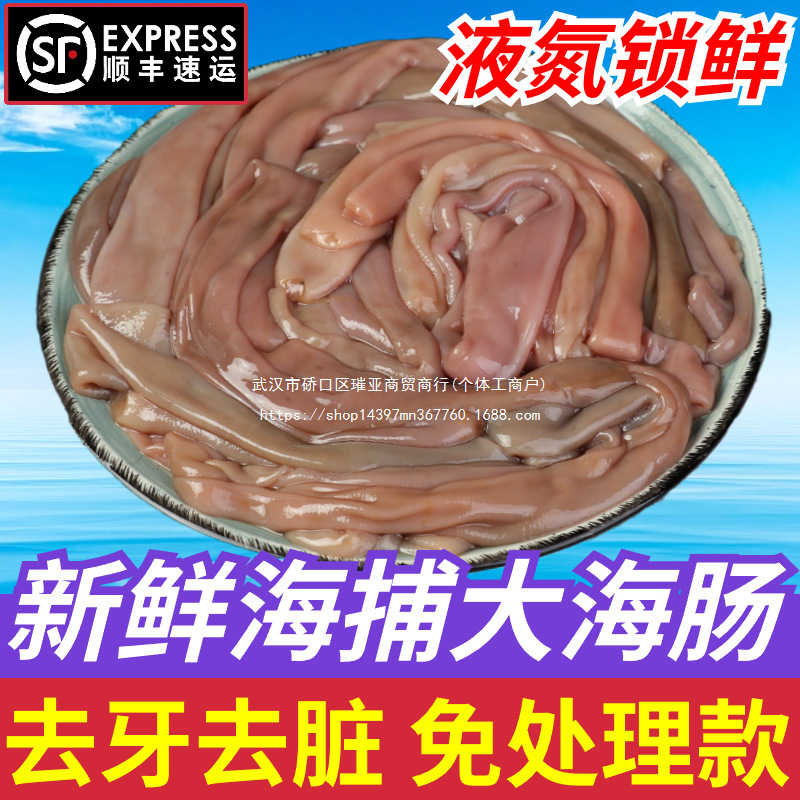 内脏海肠海鲜水产非新鲜厚皮新鲜商用沙虫海肠去皮冷冻酒店批发