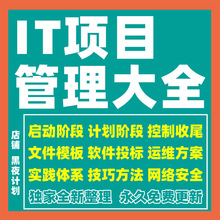 运维IT开发构建规范项目管理文档模板资料方案服务体系计划培训