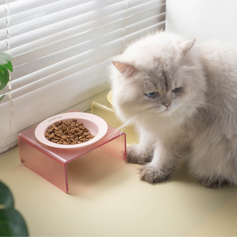 韓国bd同モデルのufoペット碗陶磁器犬猫碗は黒くないです。|undefined