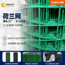 荷兰网浸塑铁丝网电焊网养鸡养鸭圈地围栏草绿色围栏网果园防护网