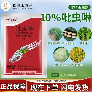 �������f��t10%���x�����x���߲˻��ܹ������x���wʭ�׷ی���ș