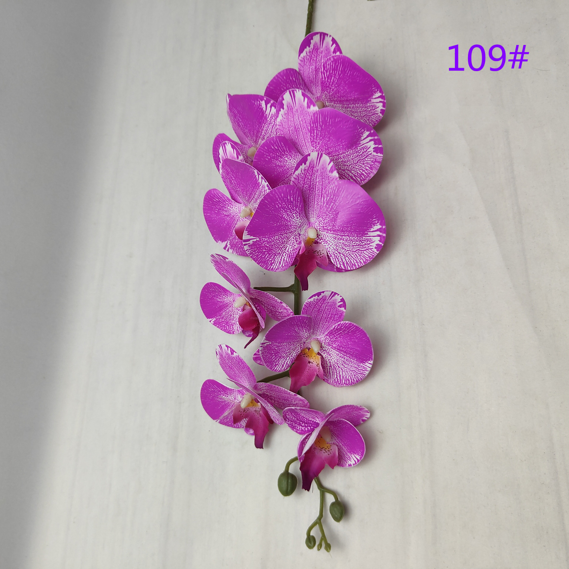 IMG20230509163129_副本