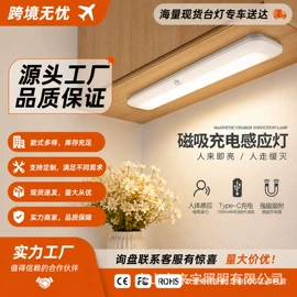 装饰台灯;小夜灯;普通照明台灯