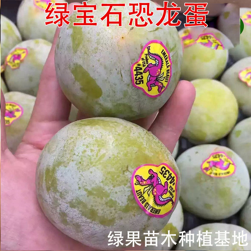 绿宝石 恐龙蛋1