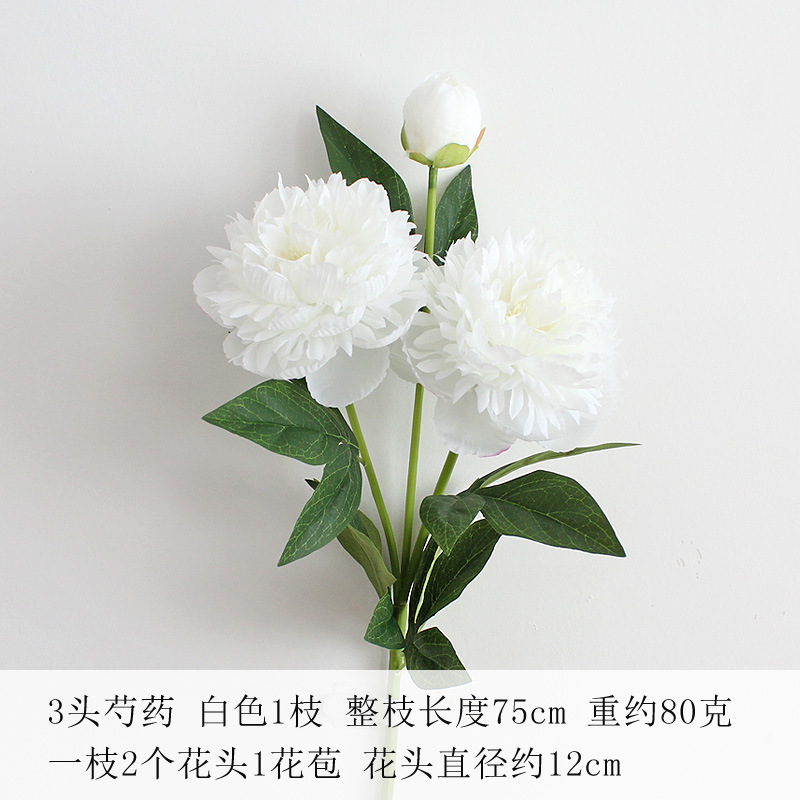 화이트