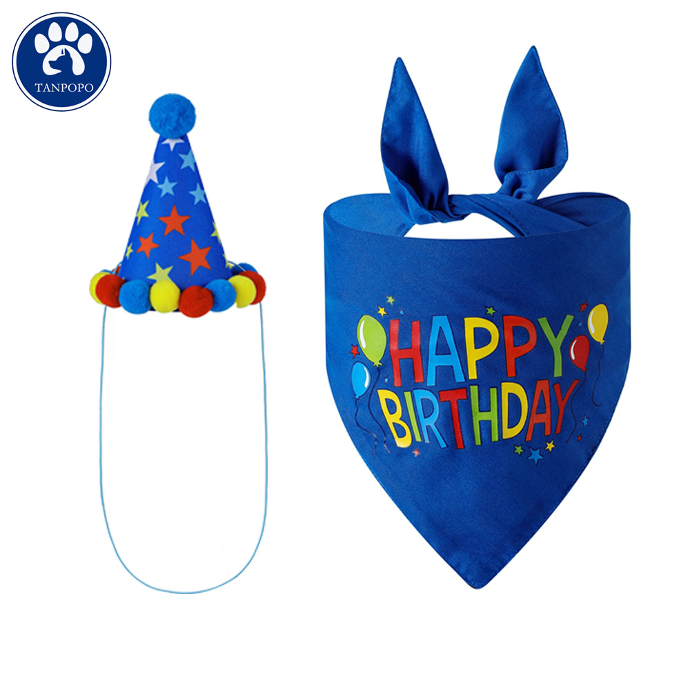 Pet Birthday Hat Image 3