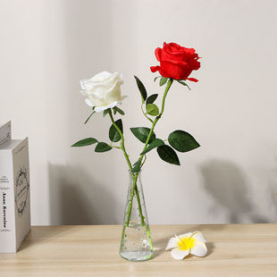 ����õ�廨��֧С���¼ٽ�����ƿ�b�Ʒ�[���͏d����ˇ���b����վ