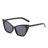 Retro sunglasses, fashionable glasses, European style, cat's eye
