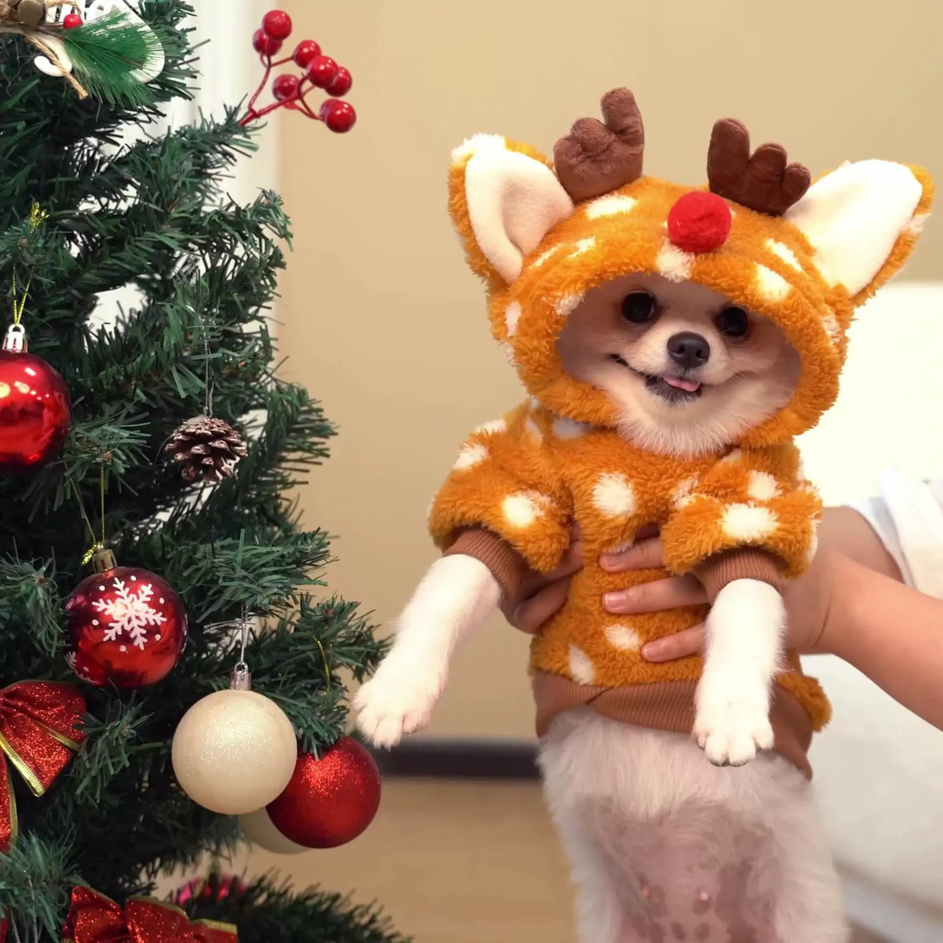 宠物狗狗圣诞衣服两腿麋鹿秋冬加绒小中型犬法斗变身服装萌宠衣服