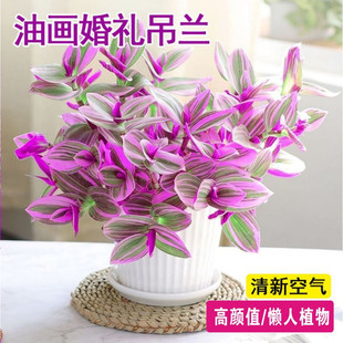 �ͮ���Y���mС������¶�m���҃��k���һ��ܾGֲ����ˮ�ഹ�����l