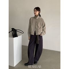 WEARELAB-2025秋上新简韩百搭通勤立领短外套D1689*