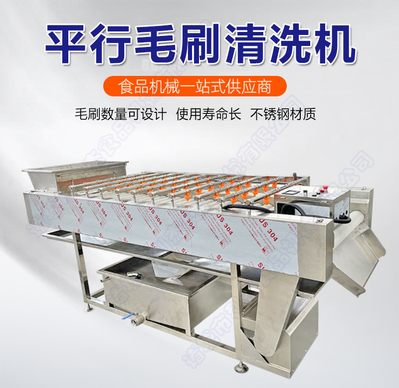 平行毛刷清洗机_01.jpg