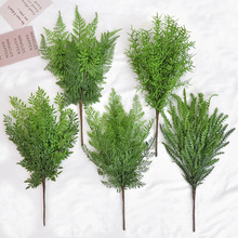 �������T���Gֲ��cɭϵ�ָ�ܛ�zާ��@�ֹ����쾰���T�������