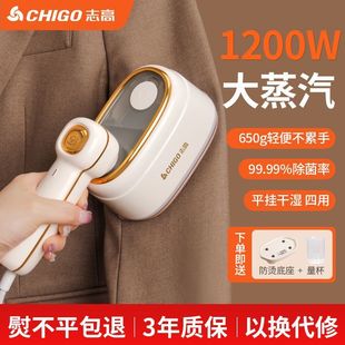 Handheld Garment Steamer, High-Power Household Small Ironing Machine, Portable Ironing and Wrinkle Removal Artifact