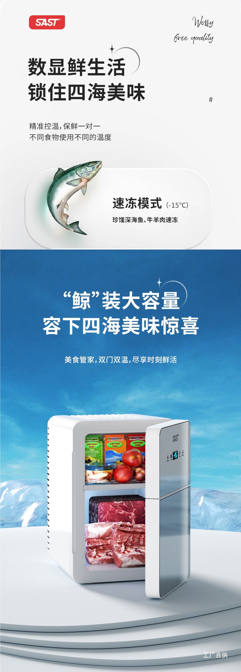 Sast Mini Refrigerator Mini Freezer for Car, Home, Dormitory, Breast Milk, Office, Student, Small Freezer