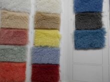 ����ū ���w�����ë ����q�������q ���u�w���q���bЬ������