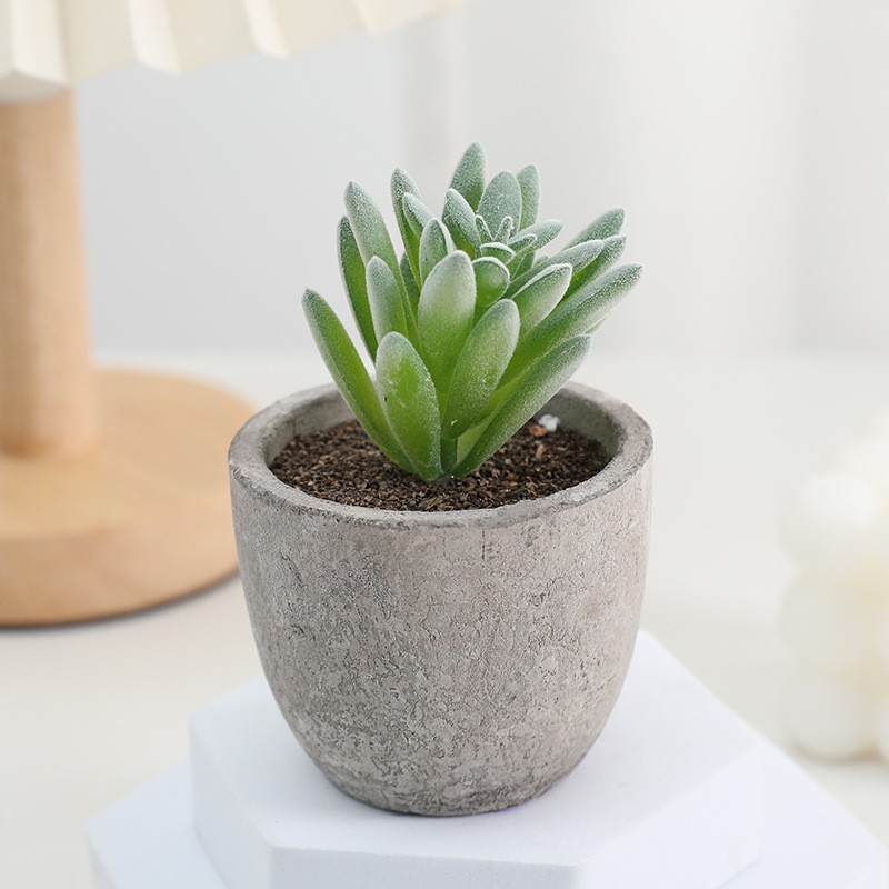 鉢植えのパルプの植毛の多い肉の鉢植えの家庭のデスクトップの事務室の置物をシミュレーションします。|undefined