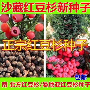 �t��ɼ�N�� �Ϸ��t��ɼ �|���t��ɼ ���؁��t��ɼ�N��ɳ�� ���]
