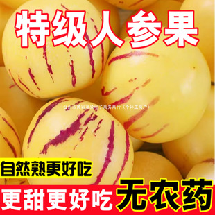 ���ʯ���˅����S�Ĵ���A������ˮ���S�����r�����������l���䡿