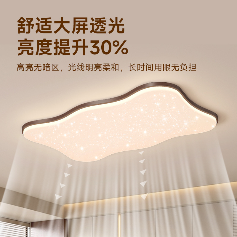 2025 nueva sala de estar romántica y cálida habitación gypsophila habitación para niños lámpara de techo paquete de casa de espectro completo