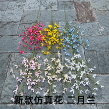 ���Q�¿���滨�����m ʮָ�m�����m֩���m��Y�Ҿ��bٻ����l