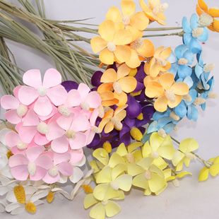 ���_�m�ɻ�С�r��С�I�� �ɻ�ins�Ҿ��bɻ����������l