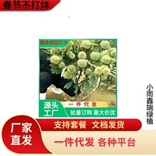 ��Դ�r�I���۴�t�۰������� �޽�Ʒ�N �F�ڬF�uƷ�N��������