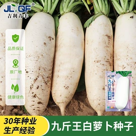 蔬菜种子