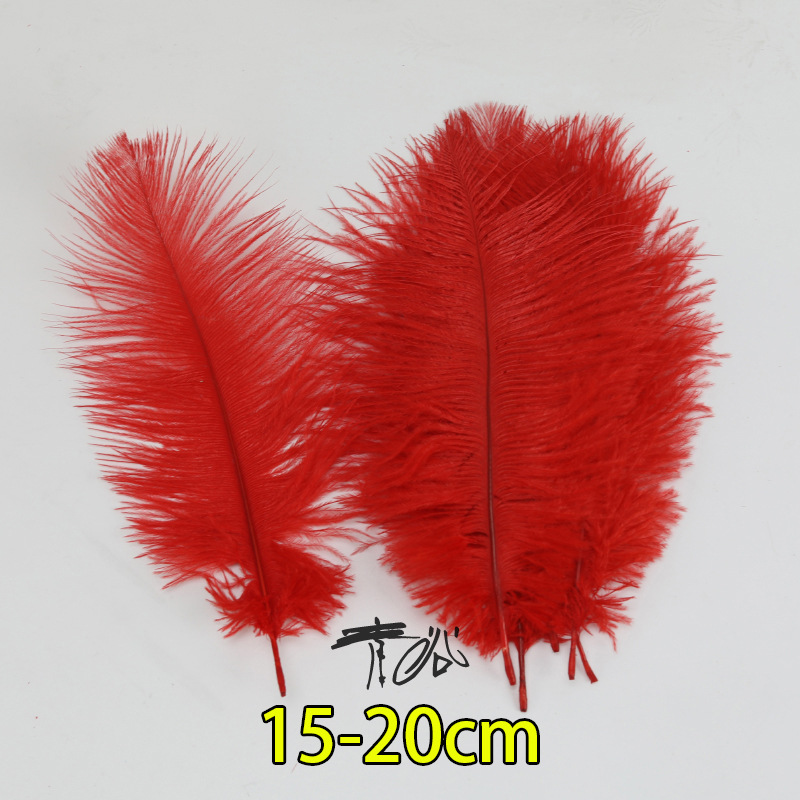 Fábrica directa pequeña serie de plumas rojas DIY accesorios accesorios de artesanía ropa accesorios escenario plumas