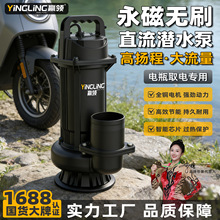 �A�I�oˢֱ����ˮ��24V48V60V72V�ƿ܇���ó�ˮ�C�r�ù����ˮ��