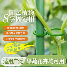 �@ˇ���ֿ�ֲ��̶��A�������پGֲ��֦�̶���8�ֿ����ψ@������