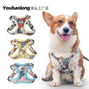 �羳������Ʒ�¿���ر�������ʽ͸�⹷�������K�����޹��K���