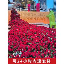 õٲ滨ٻàWtõ廨b̈