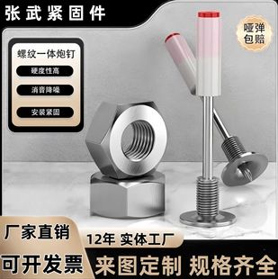 Mini Nail Gun for Ceiling Installation, Integrated Nail Gun with Round Head Nails for Fire Protection