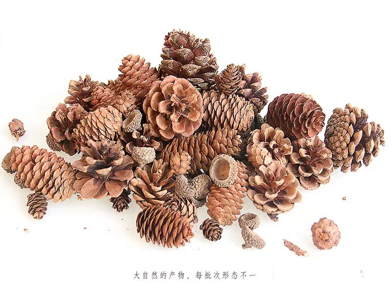 微信图片_20221101212219