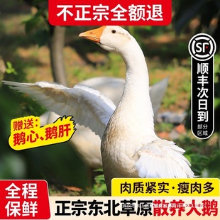 �|�����Z��ֻ�Z�����r���Z��ԭɢ�B�Z�����r�{�^�Z���Z�F偟����Z