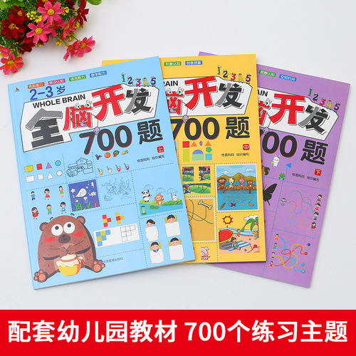 3 Books Full Brain Development 700 Questions Baby Intelligence Enlightenment Preschool Education Picture Books for Kindergarten