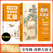 奇妙大语文1-6年级总复习小学语文考点知识汇总同步教材全2册 天