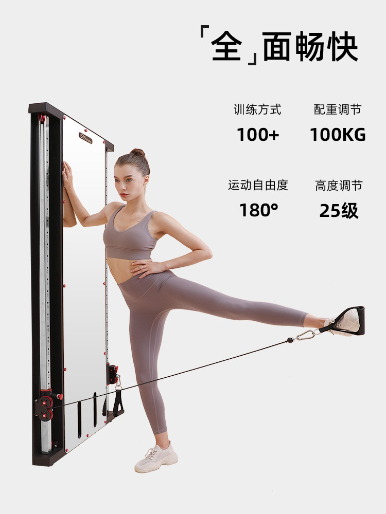 Pórtico de pájaros montado en la pared espejo de pared de un solo lado montado en la pared para el hogar pequeño pájaro poder entrenador integral