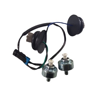 Knock Sensor Automotive Knock Sensor 12601822 10456603 12589867