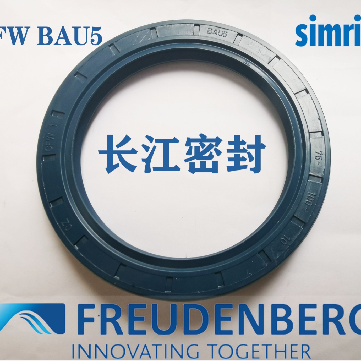 CFW BAU5 75-95-12-13-10 德国SIMRIT 骨架油封 单唇丁腈橡胶