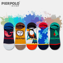 PIER POLO���_�m���ļ���ʿ�¿�������m�r�Є���ˇ�g���m�����l