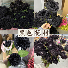 ����ɫ���ġ� ��ɫ���滨���ڸ���ʽ�L��c��Y���߻�ˇõ�����