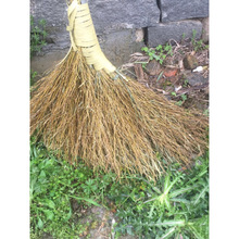 ���ֹ�����WУ���ӭh�lͥԺ���S�r���R·�������߰ђ��ֹ���ѩ