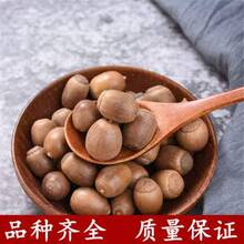 野生橡子 橡籽 橡实 栎树果橡果橡栗 包邮好货真货