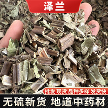 泽兰泽兰草中药材批发泽兰叶中药材泽兰泽兰批发大量现货产地货源