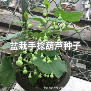 �����������J�N�ӻ��������׻��ļ��N�����l����С����С���J