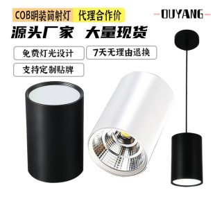Factory Direct Sales Led Surface-Mounted Downlight Round Ceiling Hanging Wire Bucket Light Cob Surface-Mounted Spotlight Hotel Engineering Special Light
